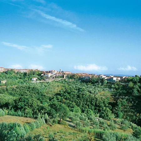 Il Felciaione-29 By Interhome